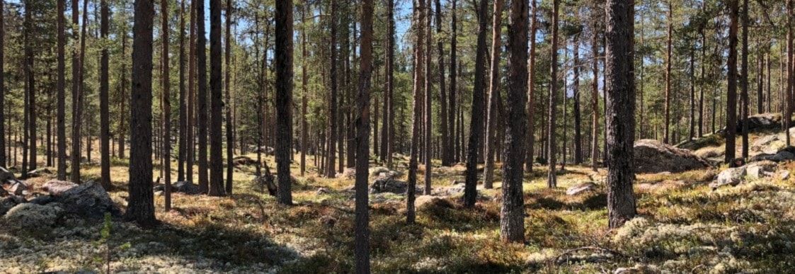 Tunhovd 2-dagers orienteringsløp